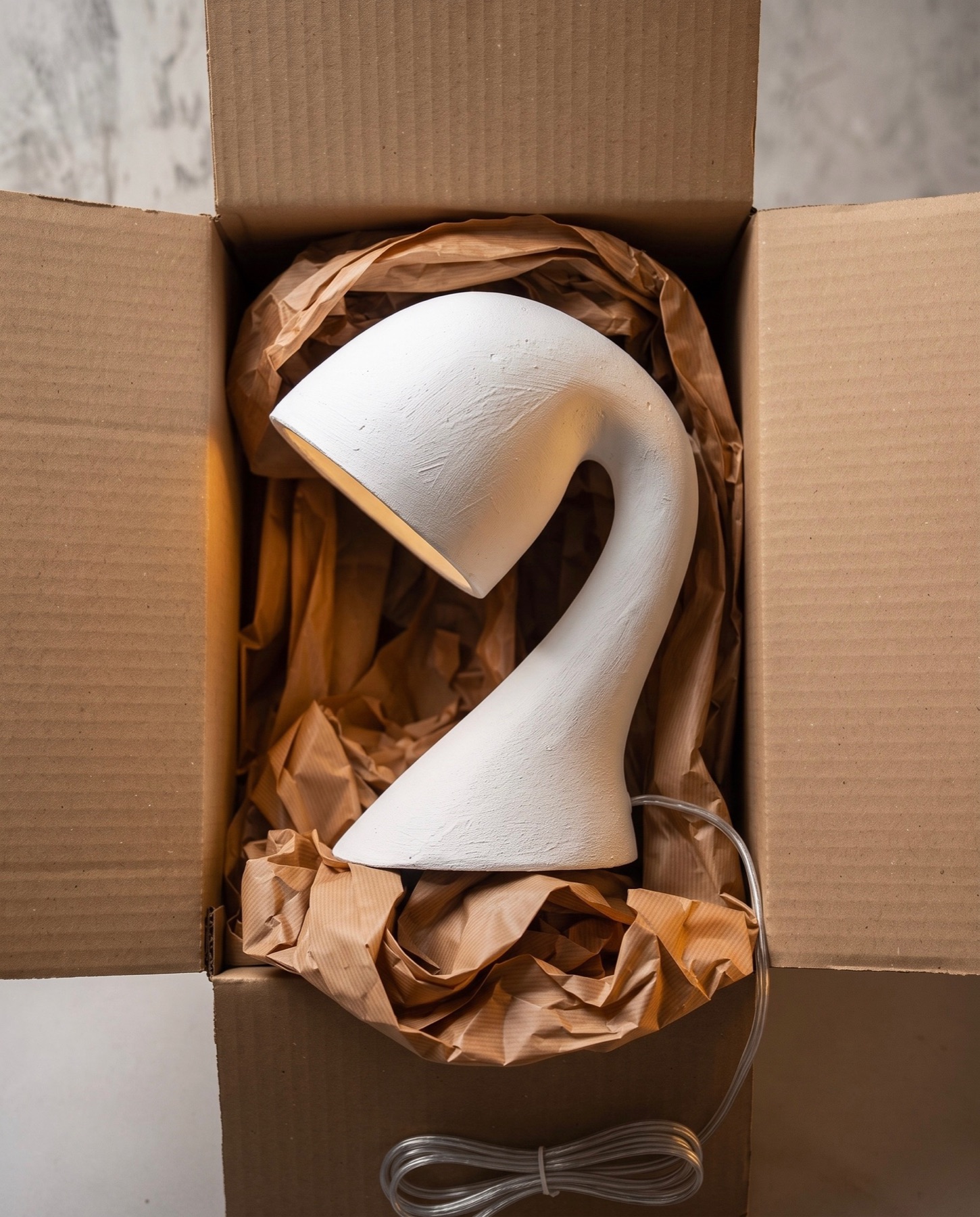 A lamp packed in its box