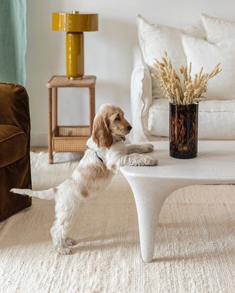 J’ai le plaisir de vous présenter ma nouvelle création, la table basse Tout comme les lampes je souhaite valoriser le sa