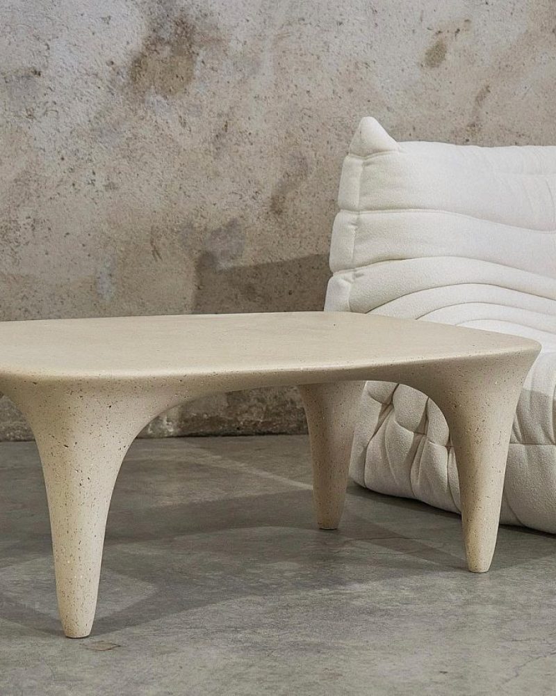 ▫️La table basse en Ivoire ▫️ @cristof_sheen